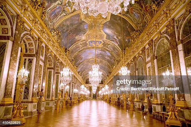 Illustration view of the 'Galerie des Glaces' in Versailles Castel whyle Pasteur-Weizmann Gala at Chateau de Versailles on November 18, 2013 in...