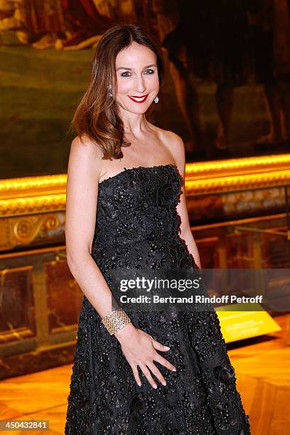 Actress Elsa Zylberstein dressed in Dior, attends Pasteur-Weizmann Gala at at Chateau de Versailles on November 18, 2013 in Versailles, France.