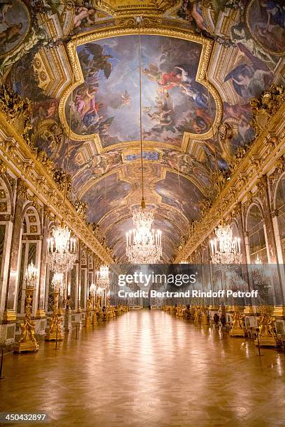 Illustration view of the 'Galerie des Glaces' in Versailles Castel whyle Pasteur-Weizmann Gala at Chateau de Versailles on November 18, 2013 in...