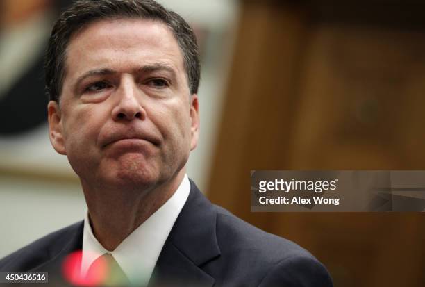 Director James Comey testifies during a hearing before the House Judiciary Committee June 11, 2014 on Capitol Hill in Washington, DC. The committee...