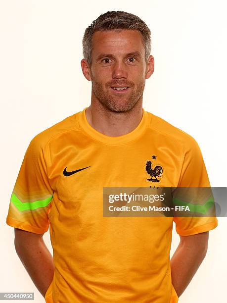 Mickael Landreau of France poses during the official FIFA World Cup 2014 portrait session on June 10, 2014 in Sao Paulo, Brazil.