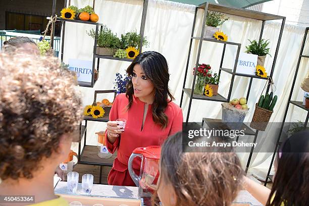 Brita Pitcher Photos and Premium High Res Pictures - Getty Images
