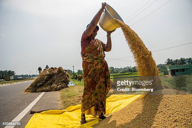 Farm worker pours rice grain from a bowl onto a pile during a crop harvest near Thimmapuram, Tamil Nadu, India, on Thursday, Nov. 14, 2013. Record...