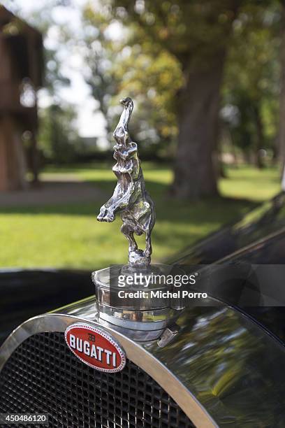 The elephant hood ornament decorates the radiator of a Bugatti Royale, the most expensive and most exclusive Bugatti ever built is seen at Chateau...