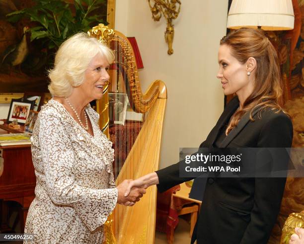 Camilla, Duchess of Cornwall meets Angelina Jolie as the actress talked about her campaign against sexual violence in warzones during a private...
