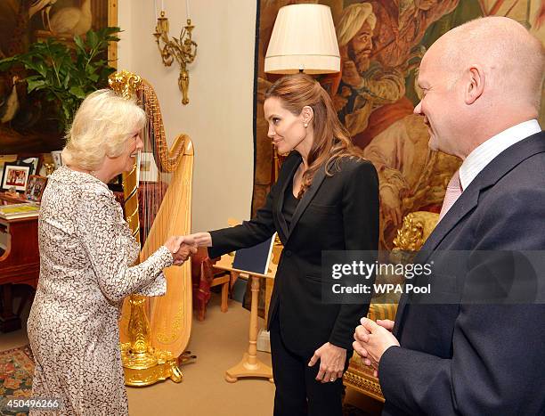 Camilla, Duchess of Cornwall meets Angelina Jolie as Foreign Secretary William Hague looks on as the actress talked about her campaign against sexual...