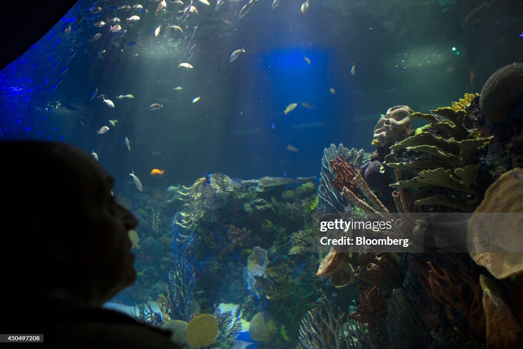 Billionaire Carlos Slim Opens Largest Aquarium In Latin America