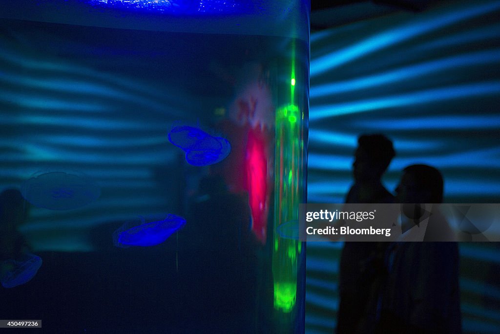 Billionaire Carlos Slim Opens Largest Aquarium In Latin America
