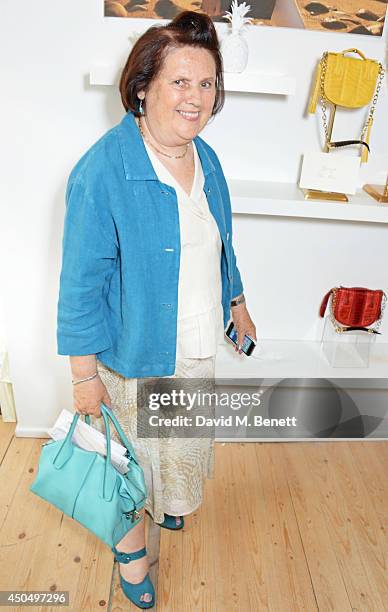 Suzy Menkes attends the Okapi London launch and summer party on June 12, 2014 in London, England.