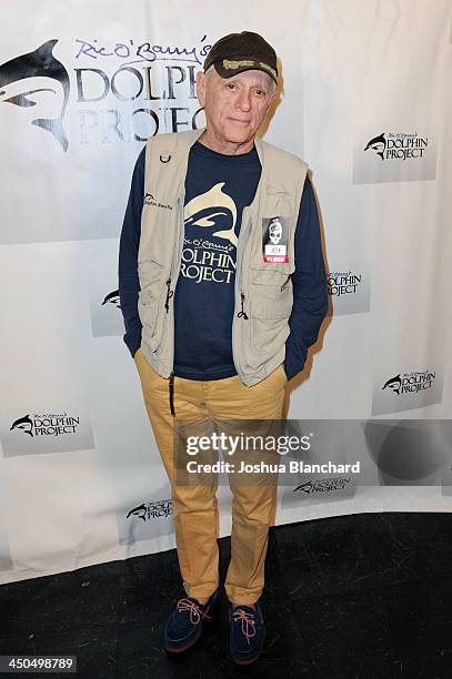 Dolphin Activist Ric O'Barry arrives at the Avalon for Kings of Chaos Tokyo Celebrates The Dolphin Benefit Concert on November 18, 2013 in Hollywood,...