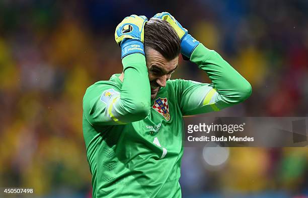 Stipe Pletikosa of Croatia reacts after allowing a goal on a penalty kick by Neymar of Brazil during the 2014 FIFA World Cup Brazil Group A match...