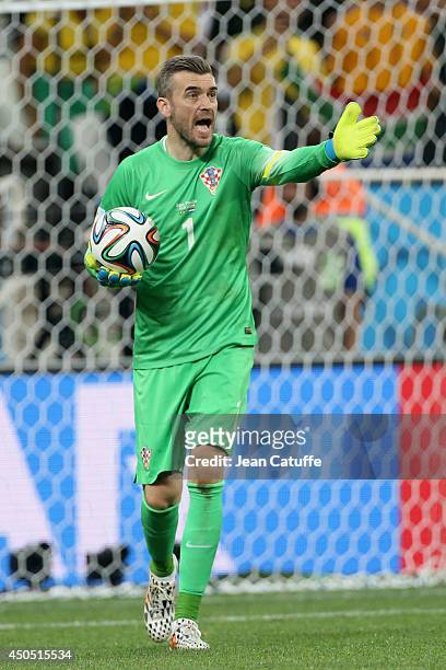 Goalkeeper of Croatia Stipe Pletikosa reacts during the 2014 FIFA World Cup Brazil Group A match between Brazil and Croatia at Arena de Sao Paulo on...