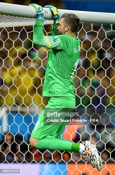 Stipe Pletikosa of Croatia prepares for the penalty kick during the 2014 FIFA World Cup Brazil Group A match between Brazil and Croatia at Arena de...