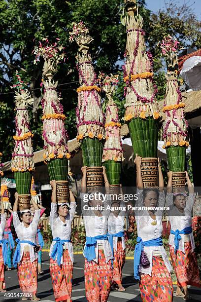 Participants wearing traditional costumes carry offerings on their head during the opening of the 36th Bali International Arts Festival on June 13,...