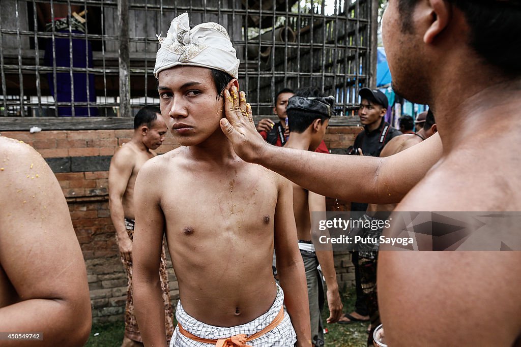 Ancient Pandanus War Ritual Held In Balinese Village