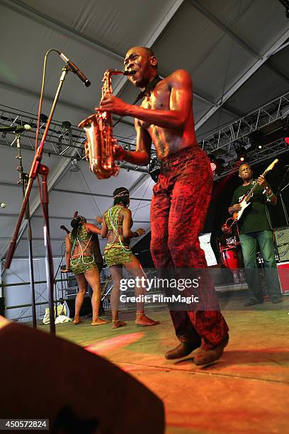 Seun Kuti performs onstage at That Tent during day 2 of the 2014 Bonnaroo Arts And Music Festival on June 13, 2014 in Manchester, Tennessee.