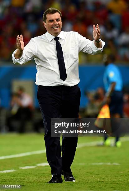 Ange Postecoglou of Australia celebrates after Tim Cahill of Australia scores a goal during the 2014 FIFA World Cup Brazil Group B match between...