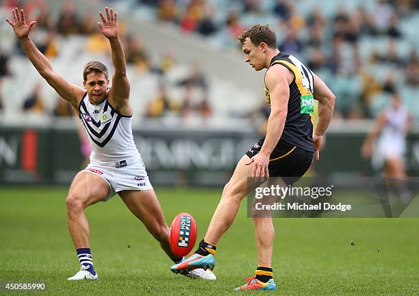 Nathan Foley of the Tigers kicks the ball away from Stephen Hill of the Dockers during the round 13 AFL match between the Richmond Tigers and the...