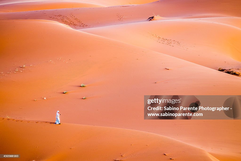 The beautiful silence of the Sahara desert