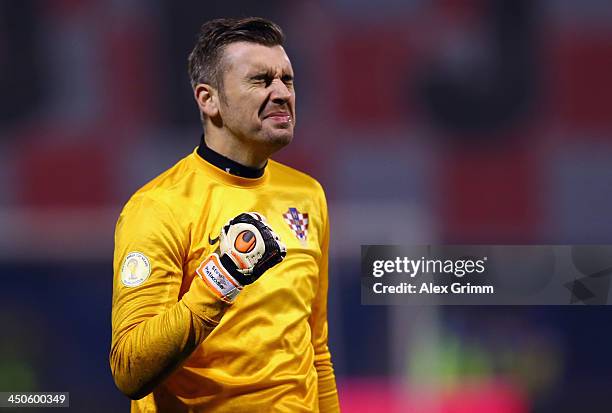 Goalkeeper Stipe Pletikosa of Croatia reacts after Mario Mandzukic of Croatia scored his team's first goal with team mates during the FIFA 2014 World...