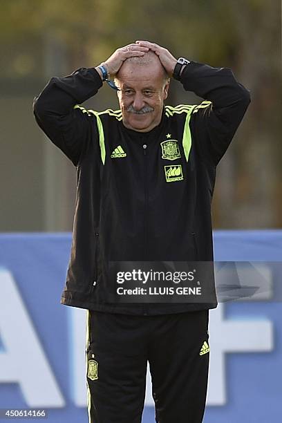 Spain's coach Vicente Del Bosque gestures during a training session at CT do Caju in Curitiba on June 14 during the 2014 FIFA World Cup. Spain...