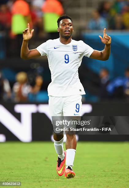 Daniel Sturridge of England celebrates after scoring the team's first goal during the 2014 FIFA World Cup Brazil Group D match between England and...