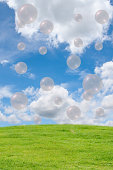grass field and fresh air bubble.
