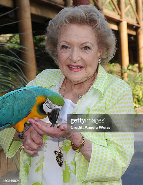 3,522 La Zoo Animals Photos and Premium High Res Pictures - Getty Images 3,522 La Zoo Animals Photos and Premium High Res Pictures - Getty Images