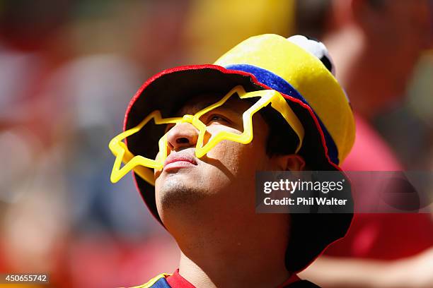 An Ecuador fan looks on prior to the 2014 FIFA World Cup Brazil Group E match between Switzerland and Ecuador at Estadio Nacional on June 15, 2014 in...