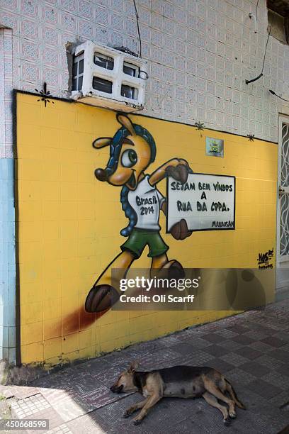 Dog sleeps in front of a mural featuring the 2014 FIFA World Cup mascot 'Fuleco' on Rua Santa Isabel on June 15, 2014 in Manaus, Brazil. Group D team...