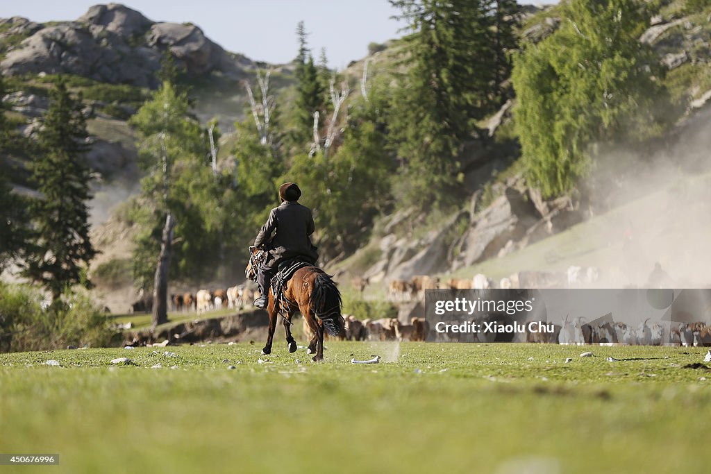 Xinjiang Kazak Herdsmen Summer Migration