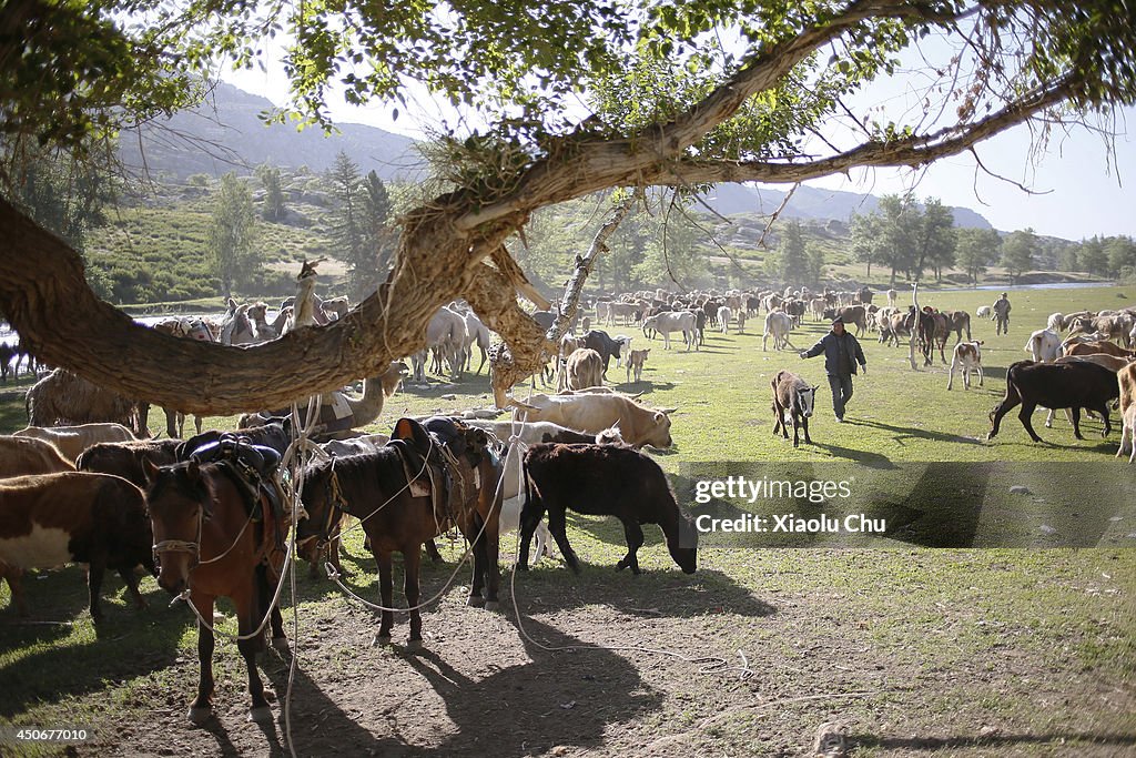 Xinjiang Kazak Herdsmen Summer Migration