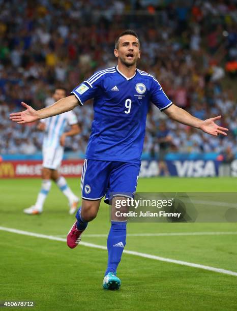 Vedad Ibisevic of Bosnia and Herzegovina celebrates scoring his team's first goal during the 2014 FIFA World Cup Brazil Group F match between...