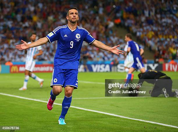 Vedad Ibisevic of Bosnia and Herzegovina celebrates scoring his team's first goal during the 2014 FIFA World Cup Brazil Group F match between...