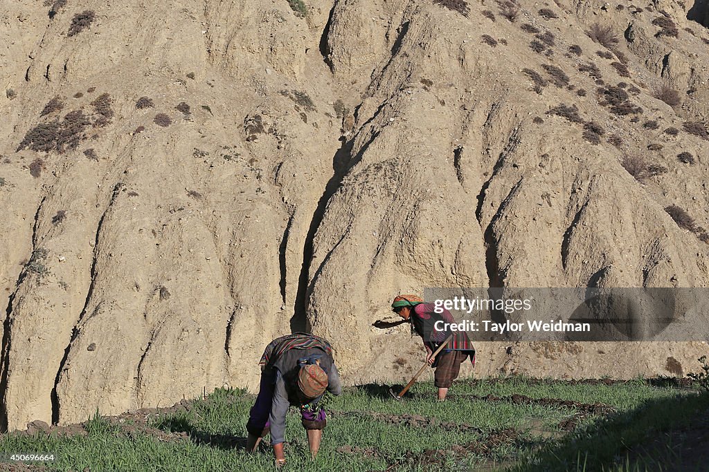 Mustang's Climate Refugees
