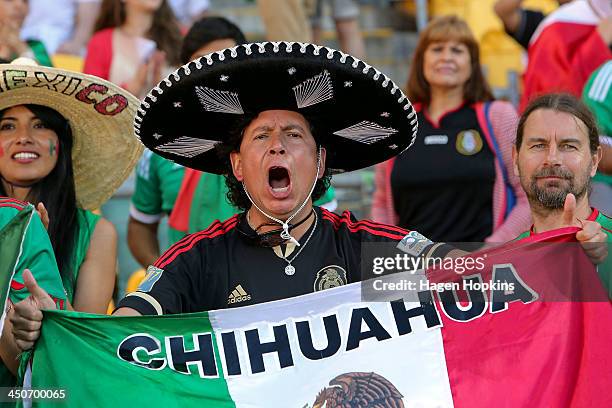 Mexican fan shows his support during leg 2 of the FIFA World Cup Qualifier match between the New Zealand All Whites and Mexico at Westpac Stadium on...