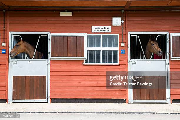 Horses arrive at the stables as the finishing touches are added ahead of Royal Ascot 2014 at Ascot Racecourse on June 16, 2014 in Ascot, England.