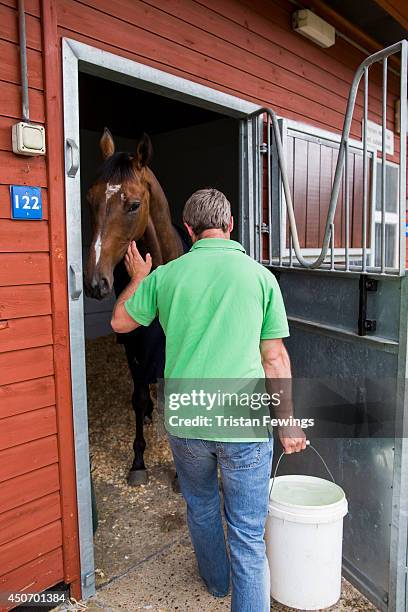 Stable lads attend to horses at the stables as the finishing touches are added ahead of Royal Ascot 2014 at Ascot Racecourse on June 16, 2014 in...