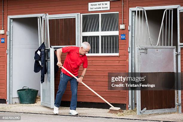 Stable lads attend to horses at the stables as the finishing touches are added ahead of Royal Ascot 2014 at Ascot Racecourse on June 16, 2014 in...