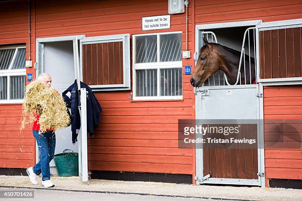 Stable lads attend to horses at the stables as the finishing touches are added ahead of Royal Ascot 2014 at Ascot Racecourse on June 16, 2014 in...