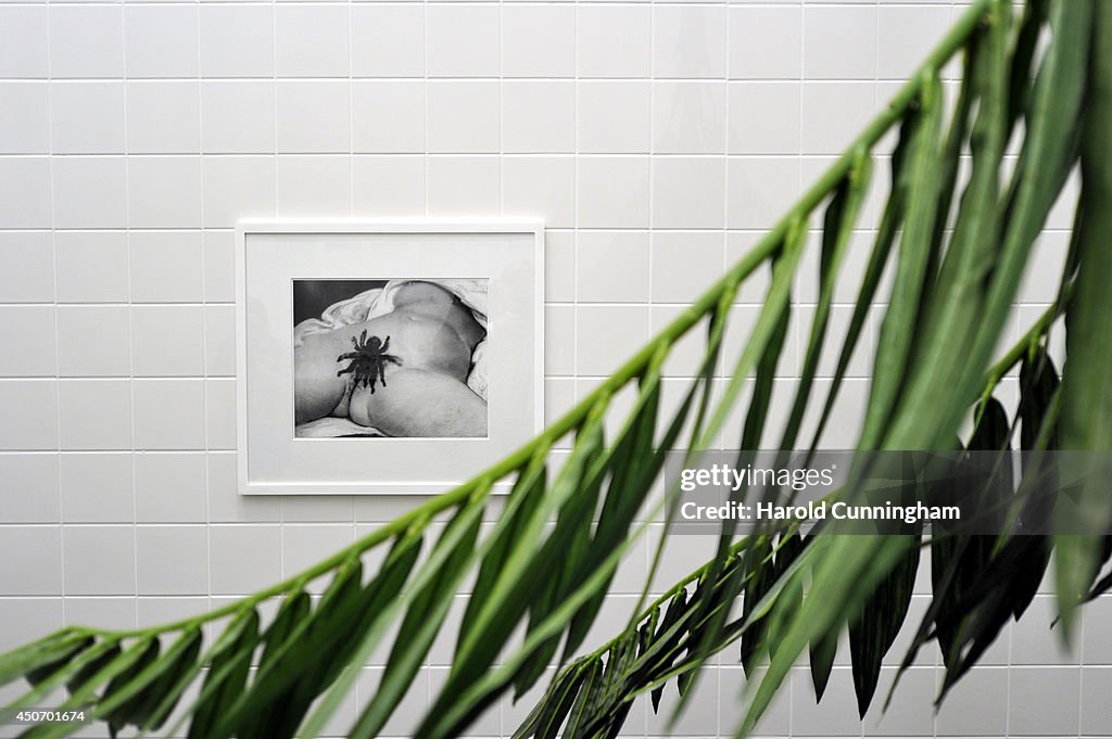 Art Basel 2014 - Unlimited