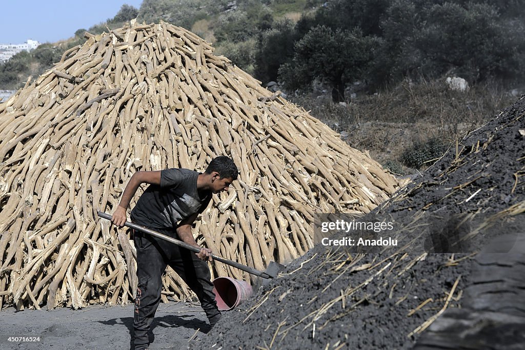 Palestinians live off charcoal