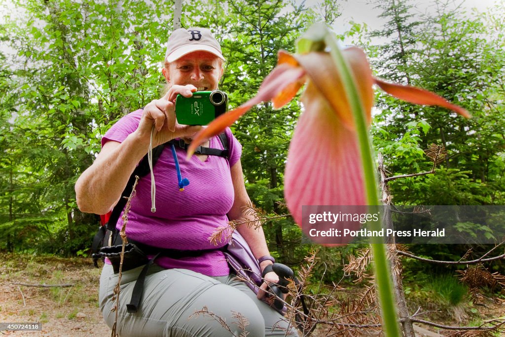 Hikers climb Bald Top in New Hamphire