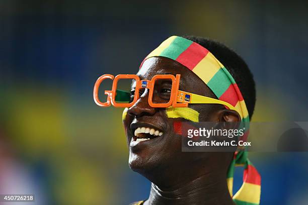 Ghana fan looks on during the 2014 FIFA World Cup Brazil Group G match between Ghana and the United States at Estadio das Dunas on June 16, 2014 in...
