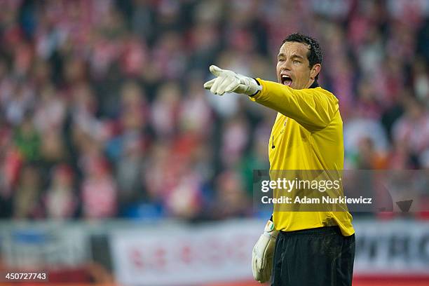 Goalkeeper David Forde of Ireland shouts during the International friendly match between Poland and Ireland at the Inea Stadium on November 19, 2013...