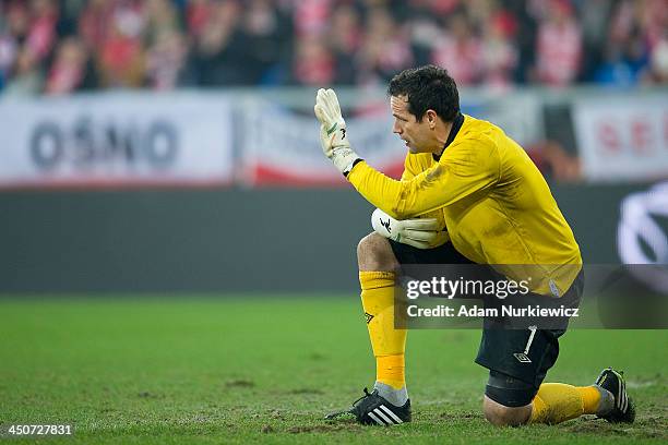 Goalkeeper David Forde of Ireland controls the ball during the International friendly match between Poland and Ireland at the Inea Stadium on...