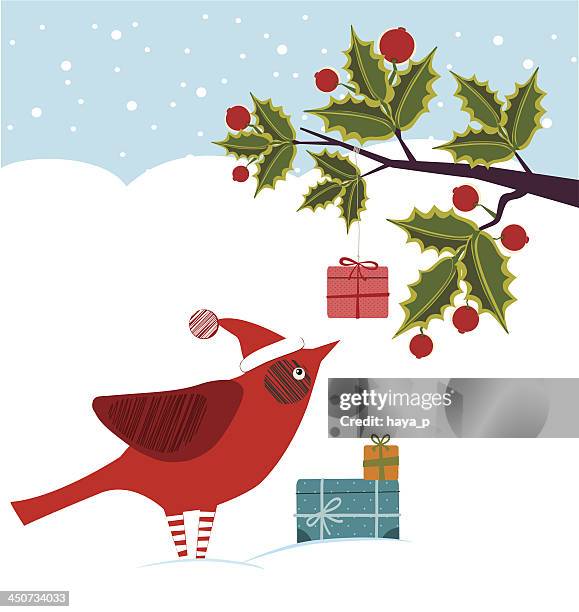 cardinal, holly tree, snow , gift box - blue cardinal bird stock illustrations