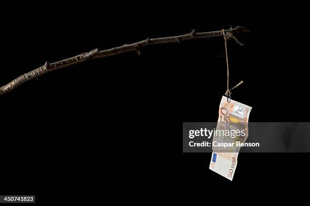 a fifty euro banknote dangling from a crude fishing rod - billet de 50 euros photos et images de collection