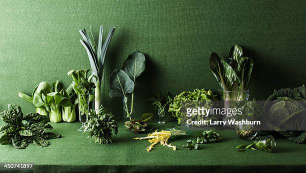 assorted green vegetables on green table - cabbage family fotografías e imágenes de stock