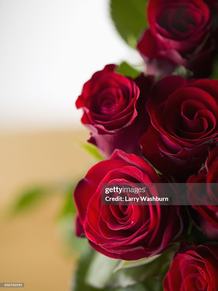 A bouquet of red roses, high angle view, close-up